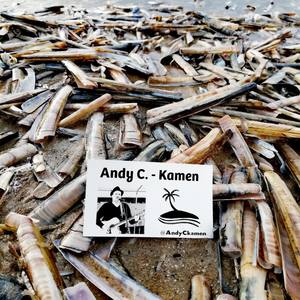 Auch ein trauriges Lied ist rock'n'roll