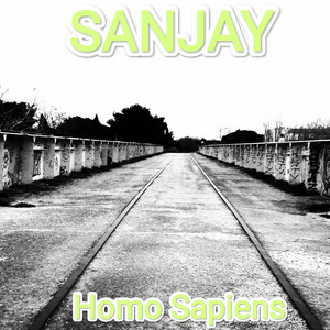 Homo sapiens