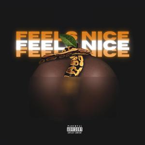 Feels Nice (Explicit)