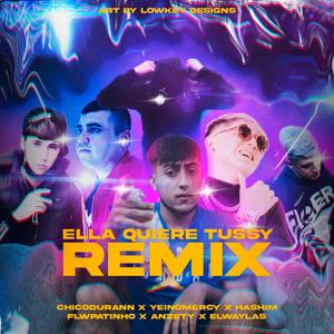 Ella Quiere Tussy-Remix (feat. Yeinomercy, Hashim, FlwPatinho, Anzety & Elwaylas) (Explicit)