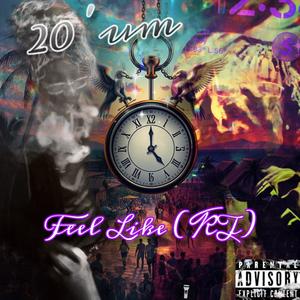 20 um