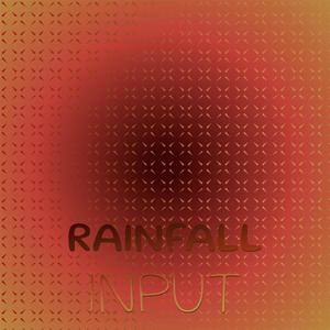 Rainfall Input