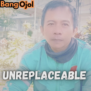 Unreplaceable