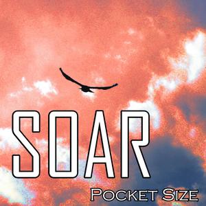 Soar