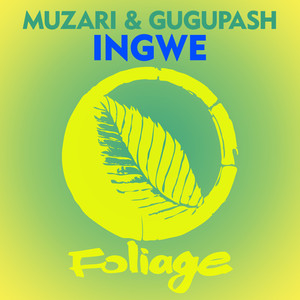 Ingwe (Instrumental Mix)