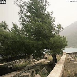 raw objective (feat. R A) (Explicit)