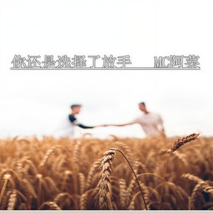 你还是选择了放手 (伴奏)