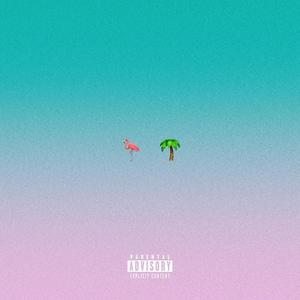 Flamingos n Palm Trees (Explicit)