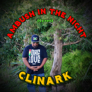 Ambush in the Night (Cover) [Explicit]