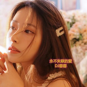 共度来生 (DJ版)