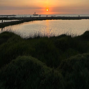 PARANOIA (feat. Klepto)