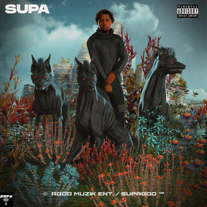 SUPA (Explicit)