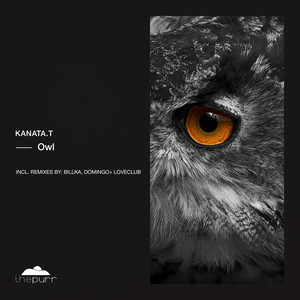 Owl (Domingo +, Loveclub Remix)