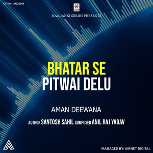 Bhatar Se Pitwai Delu