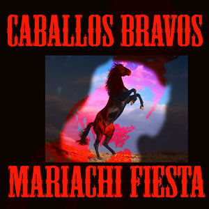 Mariachi Fiesta