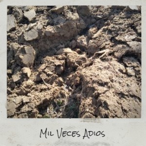 If I Ever Love Again