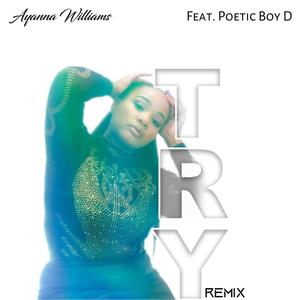 Try(feat. Poetic Boy D) (Remix)