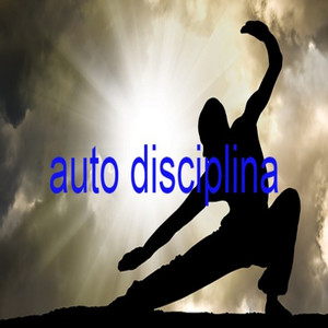 Auto Disciplina