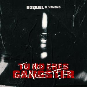 Tu No Eres Ganster (Explicit)