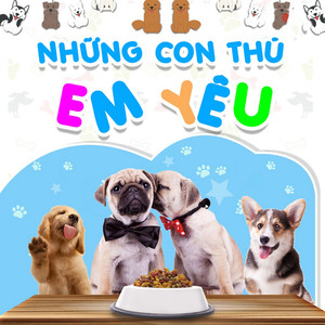 Cá chép hóa rồng