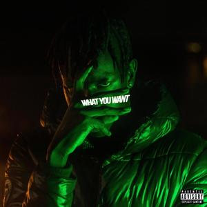 What You Want (Explicit)