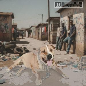 Who let the dogs out (feat. Sgogi Guapo & Team Mashupye) (Explicit)