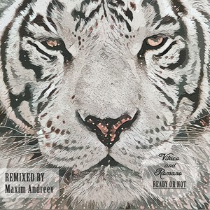 Ready Or Not (Maxim Andreev Remix)