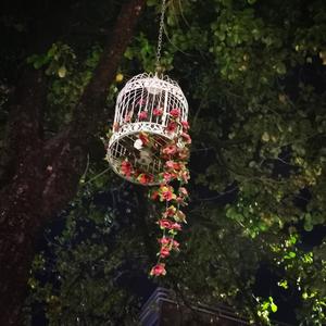 你还没走 (翻自 Darren达布希勒图)