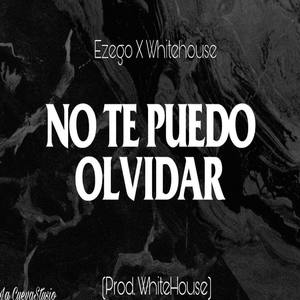 No te Puedo olvidar (feat. Ezego)