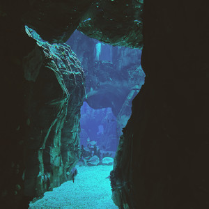 Wanna Play (Full Band Version)