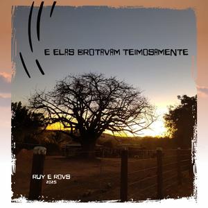 Meu Axé