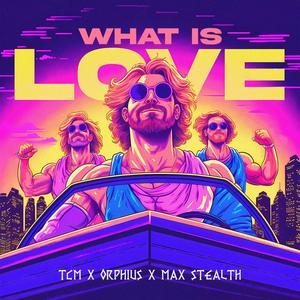 What Is Love (Hardstyle Version)