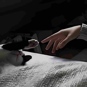 成全 (R&B版)封面