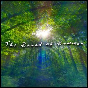 Mr. Money Man (feat. RGE)