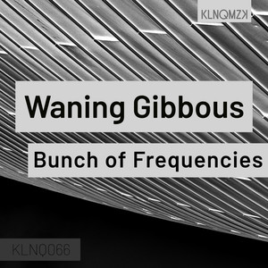 Waning Gibbous (Original Mix)