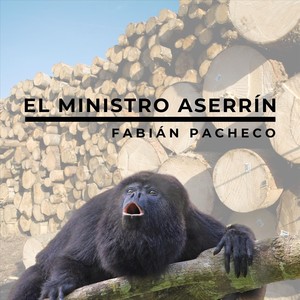 El Ministro Aserrín