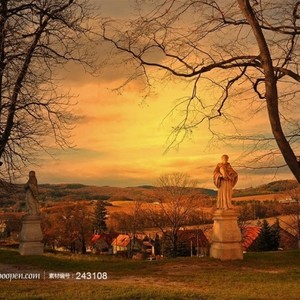 Dear Vienna (Rework)