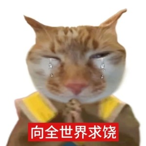 热歌姬 - 2025年度热梗 (鬼畜版)