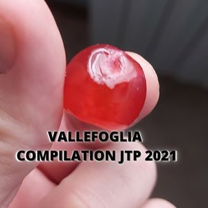 VALLEFOGLIA COMPILATION JTP 2021