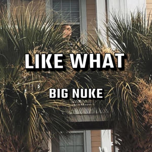 Like What (Explicit)
