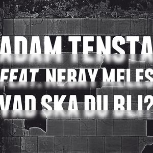 Vad ska du bli? (feat. Nebay Meles) (Instrumental)