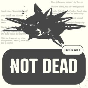 Not Dead (Explicit)