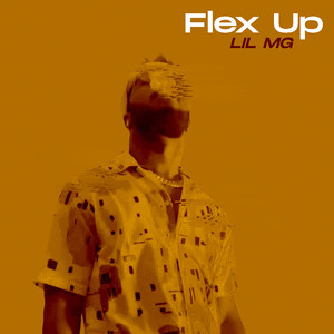 Flexup