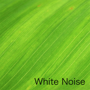 White Noise