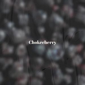 Chokecherry