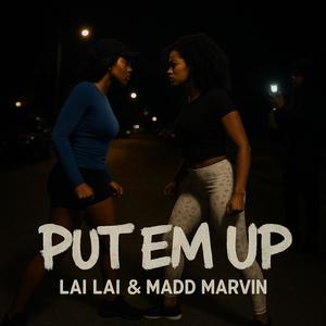 Put Em Up (Explicit)