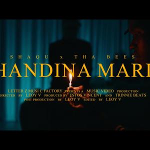 Handina Mari (feat. tha_bees)