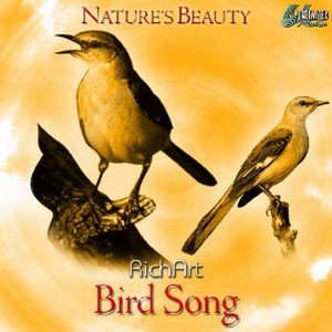 Bird Song