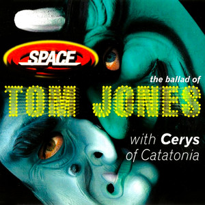 The Ballad of Tom Jones (The Mixes)