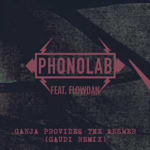Ganja Provides the Answer (Gaudi Remix)